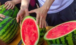 今日吃瓜在线观看