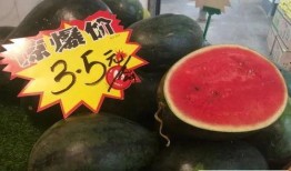 51网红黑料 吃瓜大世界最新版下载,吃瓜大世界最新版下载，一网打尽热门事件